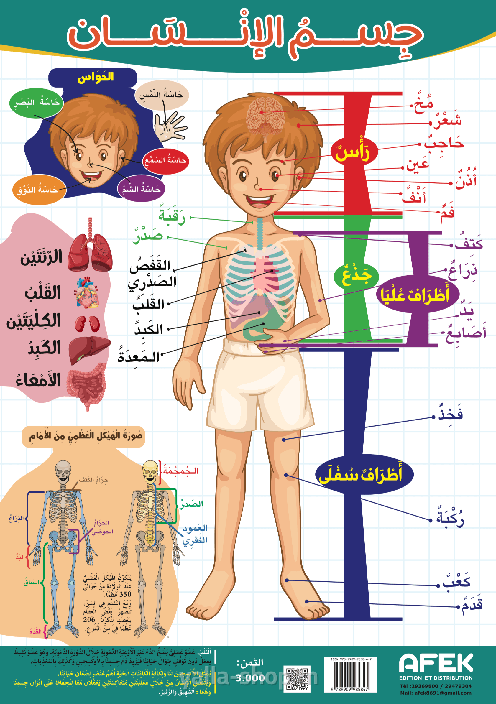 جسم الإنسان